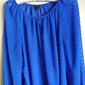 J. Crew Women's Royal Blue Semi Sheer Blouse